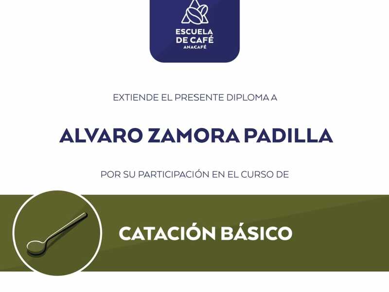 FINCA-LAS-ILUSIONES-PROFESSIONAL-COFFEE-PRODUCERS-GT