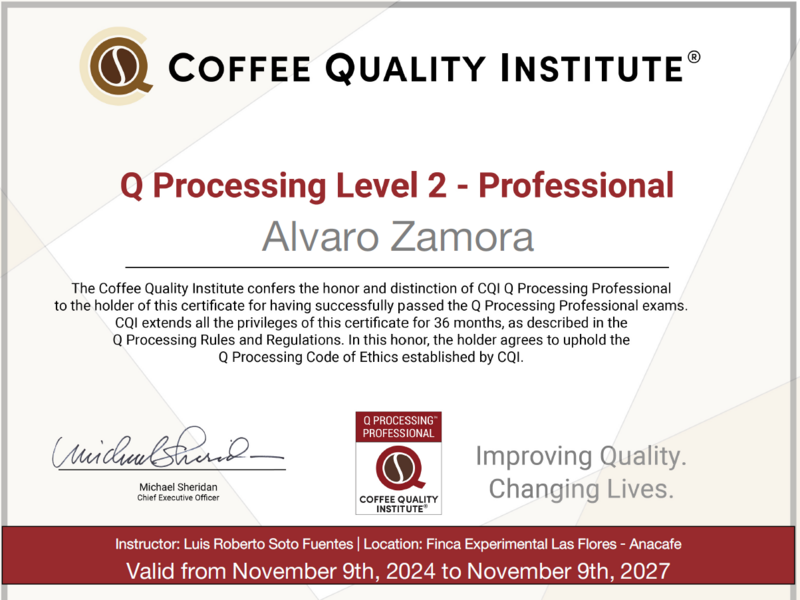 FINCA-LAS-ILUSIONES-PROFESSIONAL-COFFEE-PRODUCERS-LEVEL-2