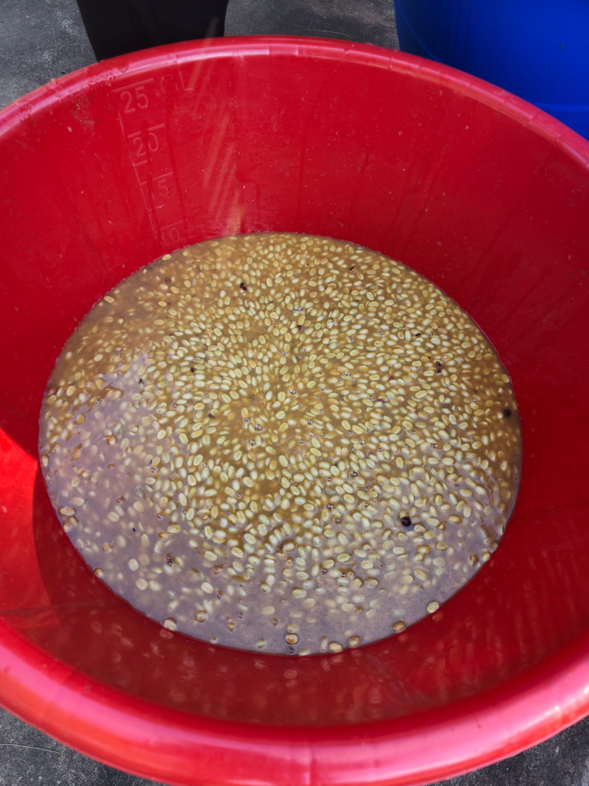 Infusión