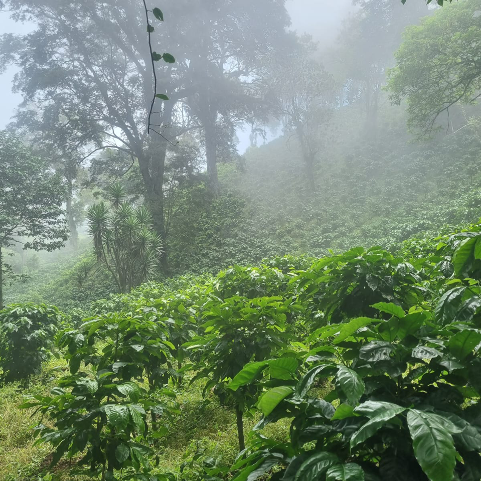 Villa Canales, Guatemala