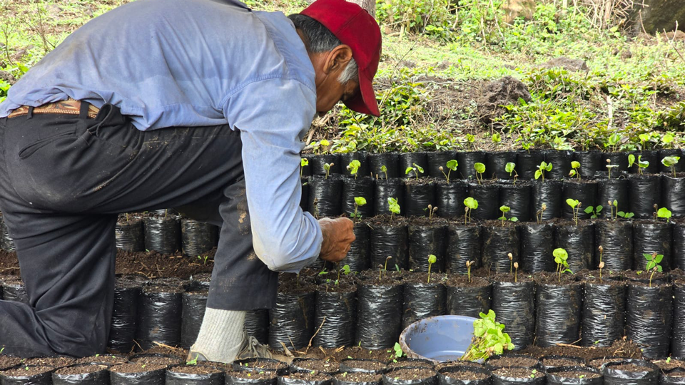 La Finca 05